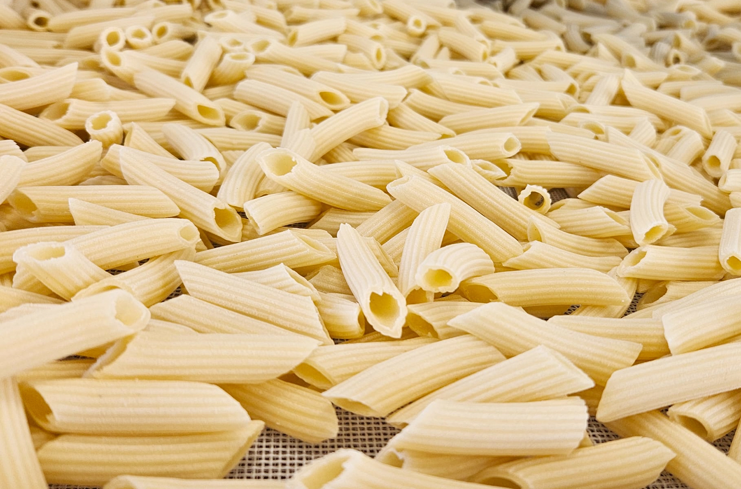 Pastificio Matildico: la nostra pasta artigianale